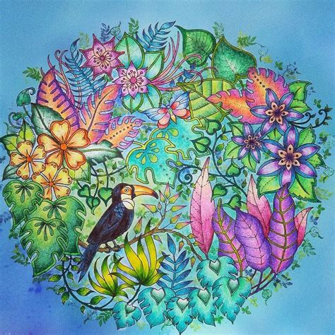 Get Lost in the Beauty of the Magical Jungle Illustrated by Johanna Basford